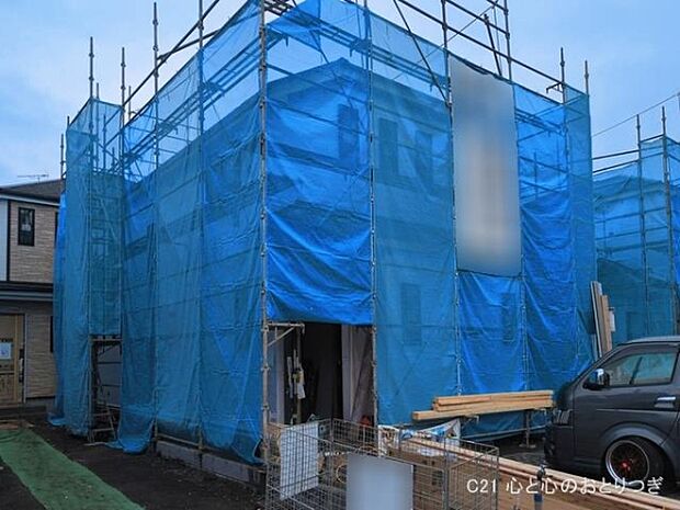 撮影日:2026/03/16