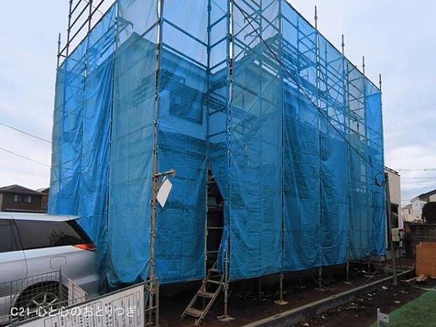 撮影日:2026/03/16