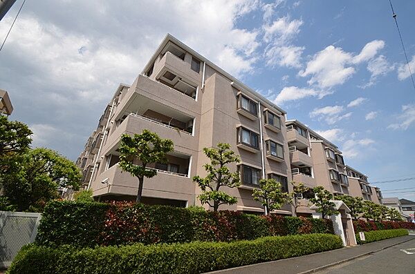 外観：313004520470