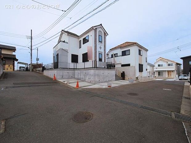 撮影日:2026/03/13