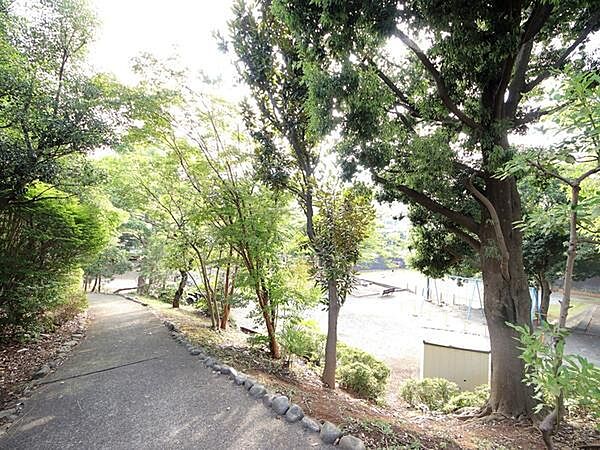代官中央公園まで567m