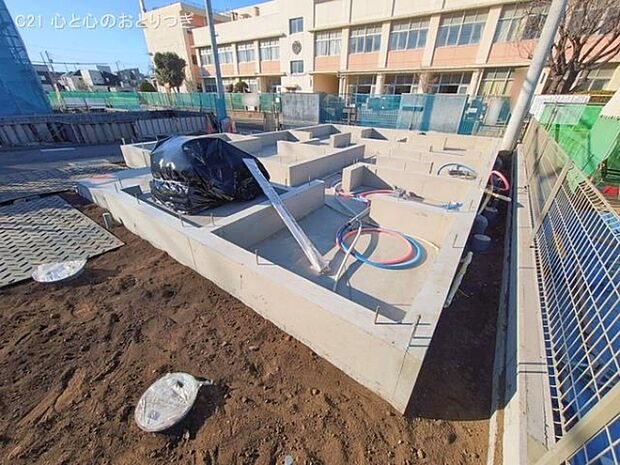 撮影日:2026/01/29