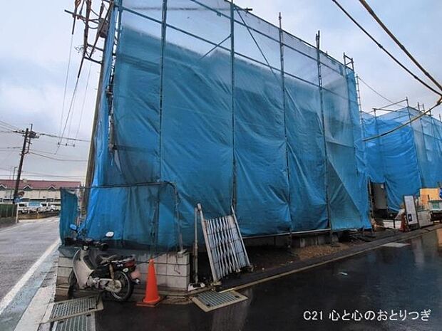 撮影日:2026/03/03