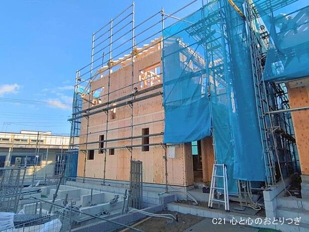 撮影日:2026/01/29