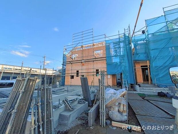 撮影日:2026/01/29