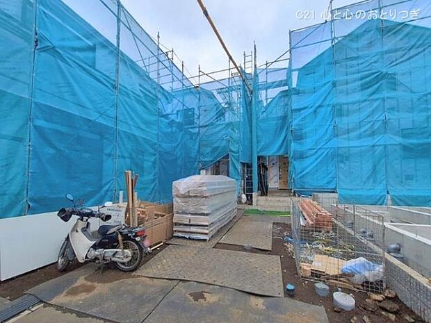 撮影日:2026/02/17