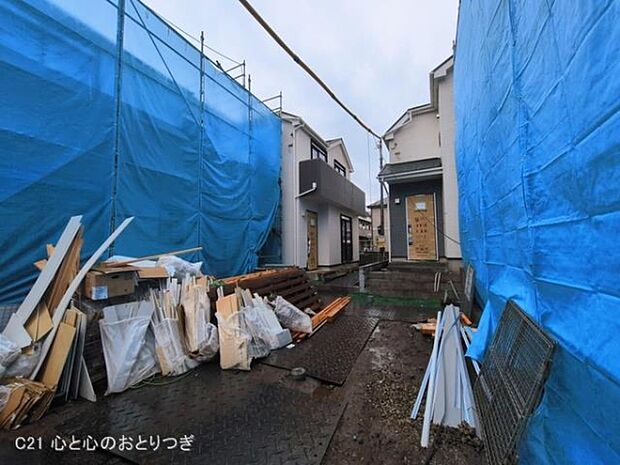 撮影日:2026/03/03