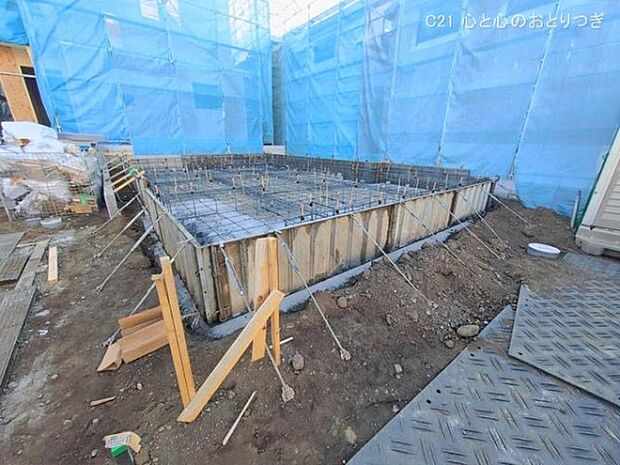 撮影日:2026/01/29