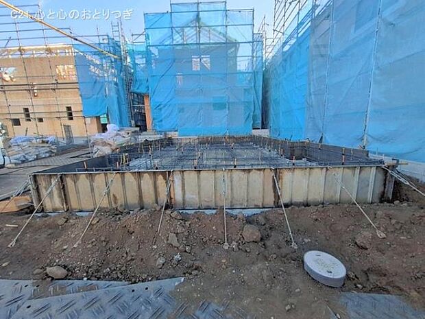 撮影日:2026/01/29