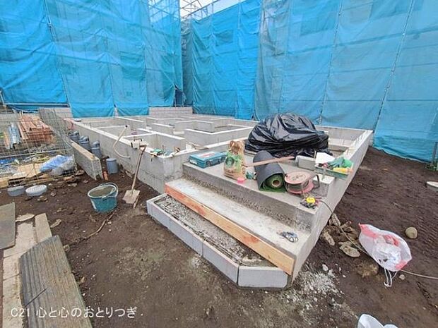 撮影日:2026/02/17