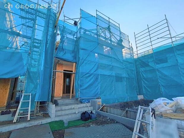 撮影日:2026/01/29