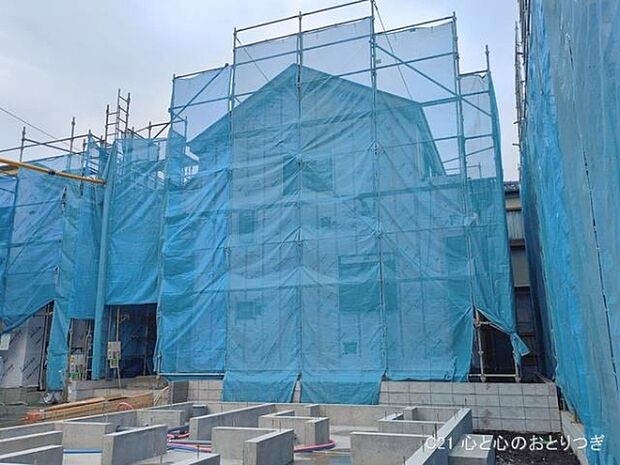 撮影日:2026/02/17