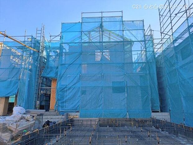 撮影日:2026/01/29