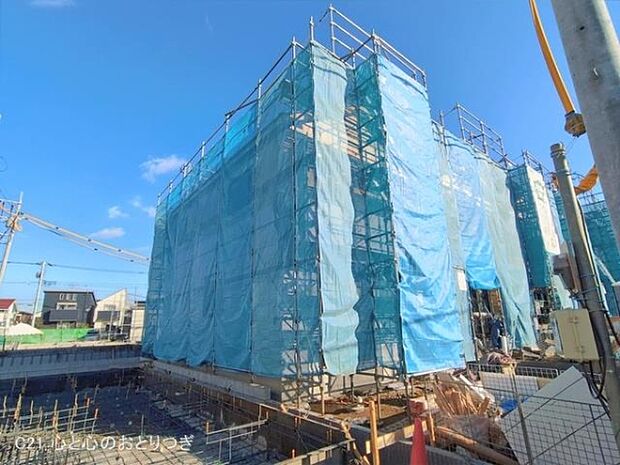 撮影日:2026/01/29