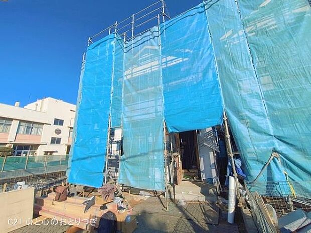 撮影日:2026/01/29