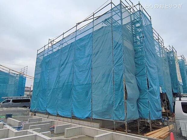 撮影日:2026/02/17