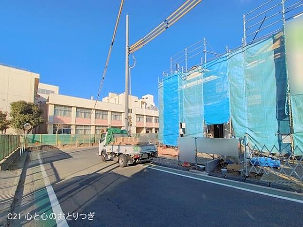 撮影日:2026/01/29