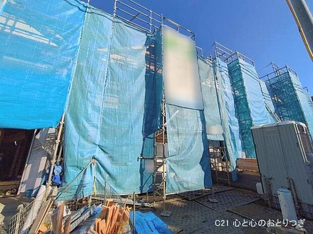 撮影日:2026/01/29