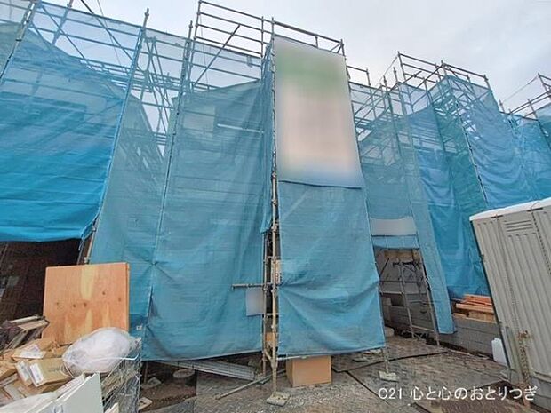 撮影日:2026/02/17