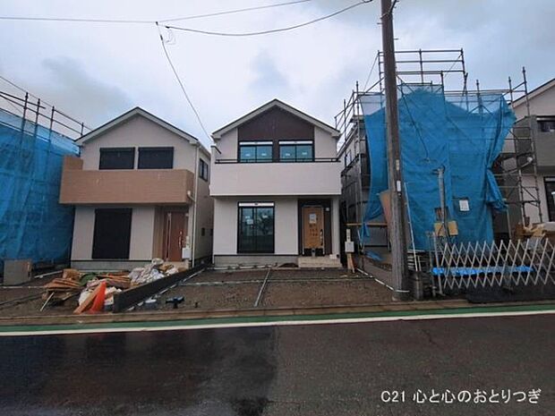 撮影日:2026/03/03