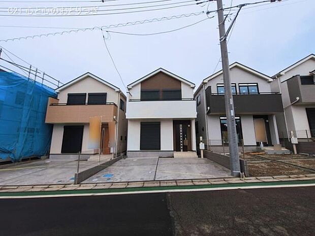 撮影日:2026/03/19