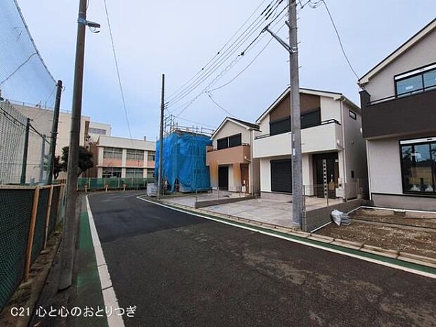 撮影日:2026/03/19