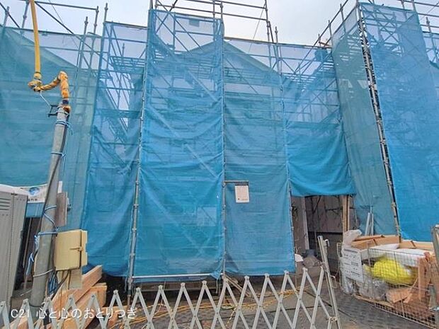 撮影日:2026/02/17