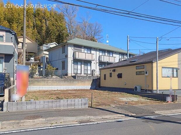 撮影日:2026/02/19