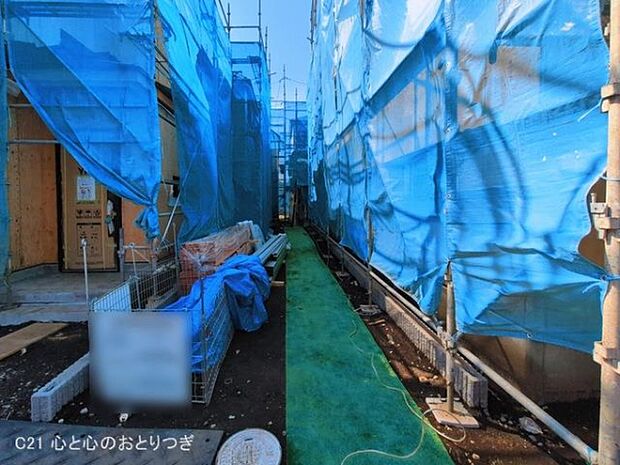 撮影日:2026/03/12