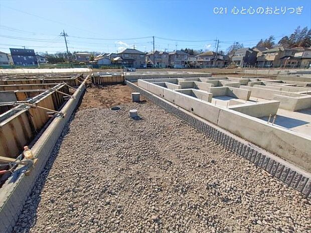 撮影日:2026/01/23