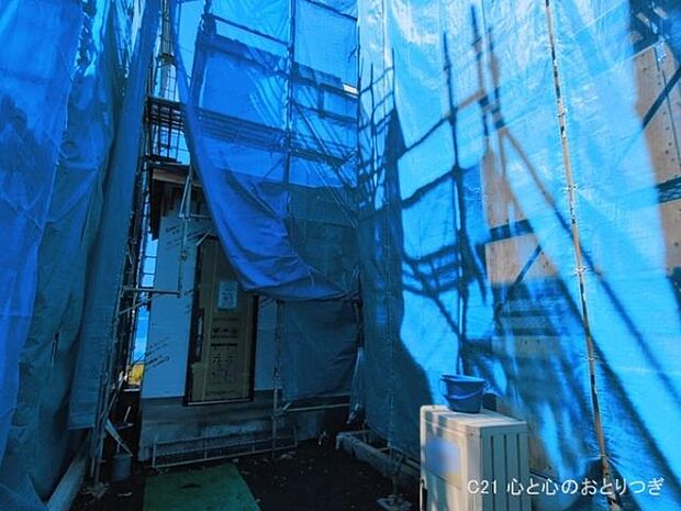 撮影日:2026/03/12