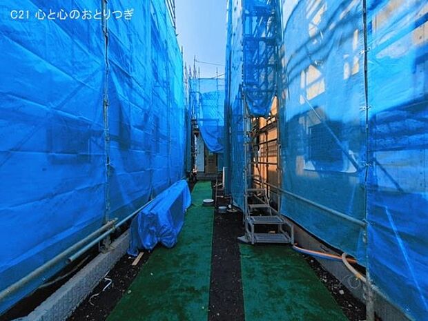 撮影日:2026/03/12