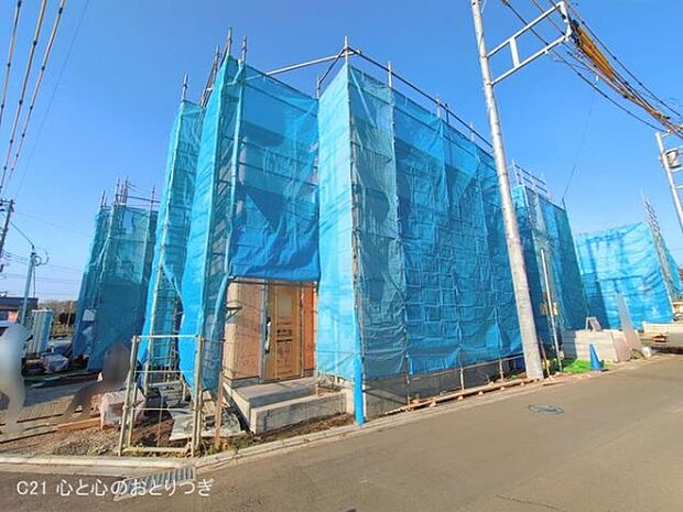 撮影日:2026/02/16