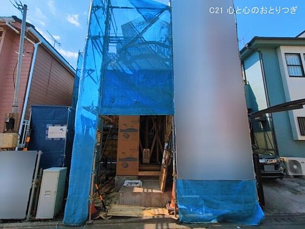 撮影日:2026/03/11