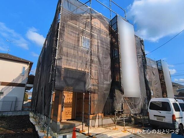 撮影日:2026/03/17