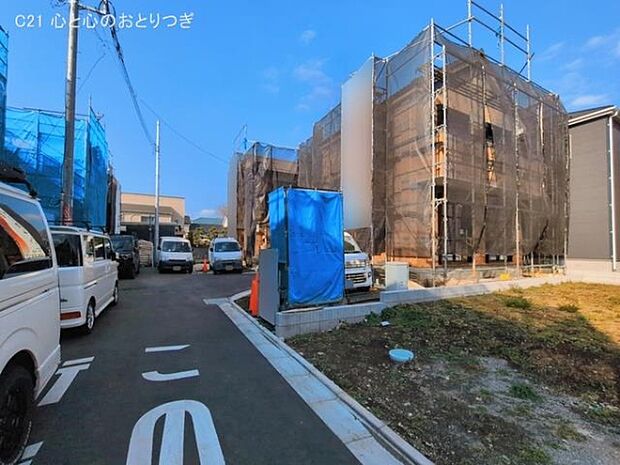 撮影日:2026/03/17