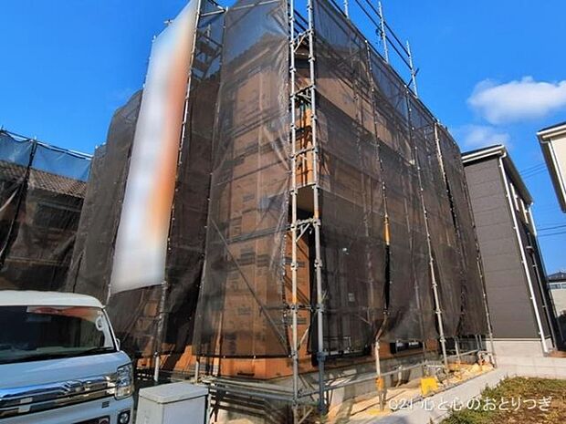 撮影日:2026/03/17