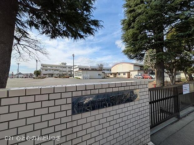 相模原市立向陽小学校まで750m