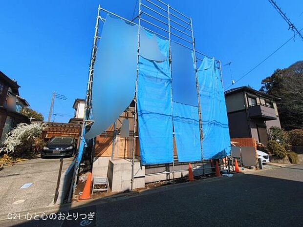 撮影日:2026/03/17