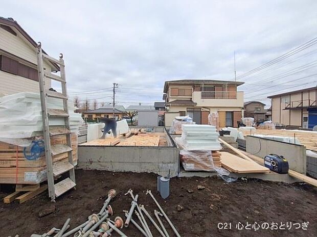 撮影日:2026/02/17