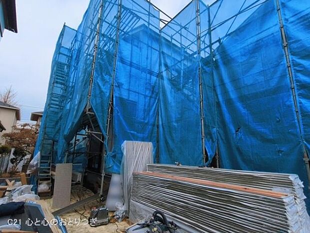 撮影日:2026/03/18