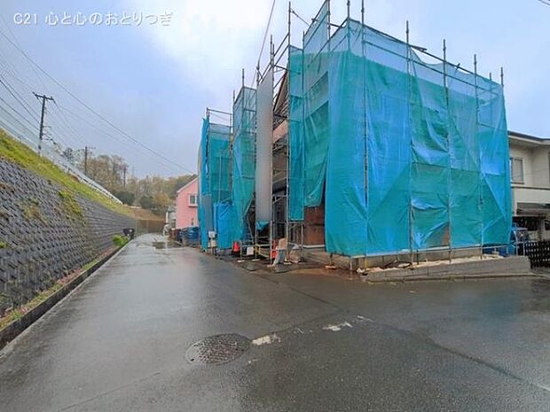 撮影日:2026/03/31