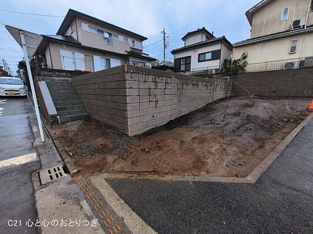 撮影日:2026/03/03