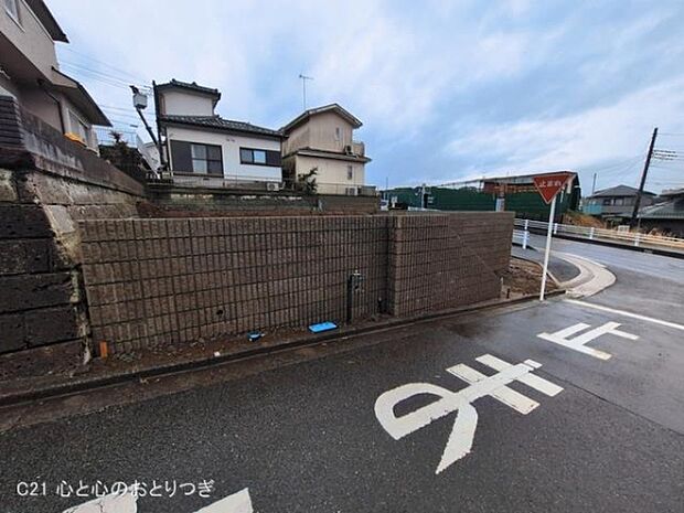 撮影日:2026/03/03