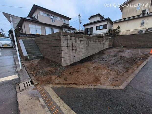 撮影日:2026/03/03