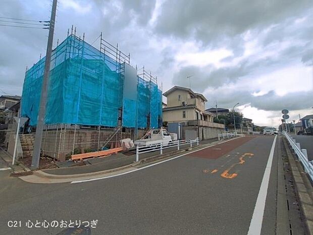 撮影日:2026/06/09