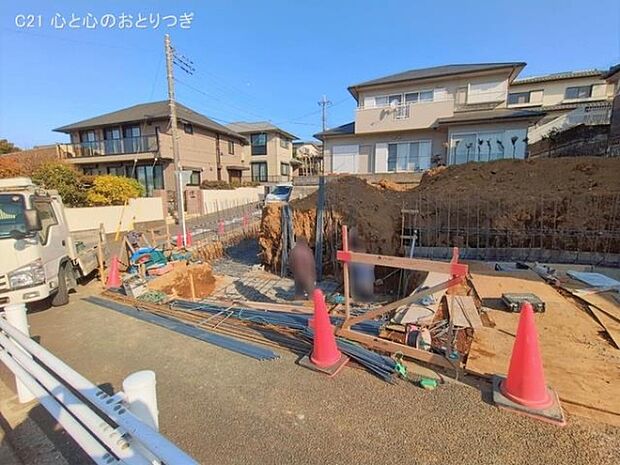 撮影日:2026/01/30