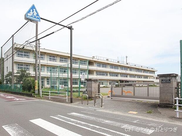 海老名市立有鹿小学校まで900m