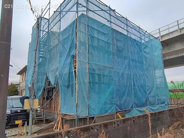 撮影日:2026/02/17