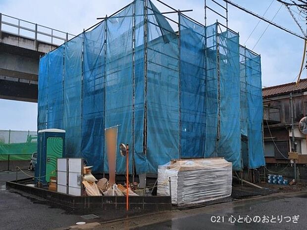 撮影日:2026/03/03